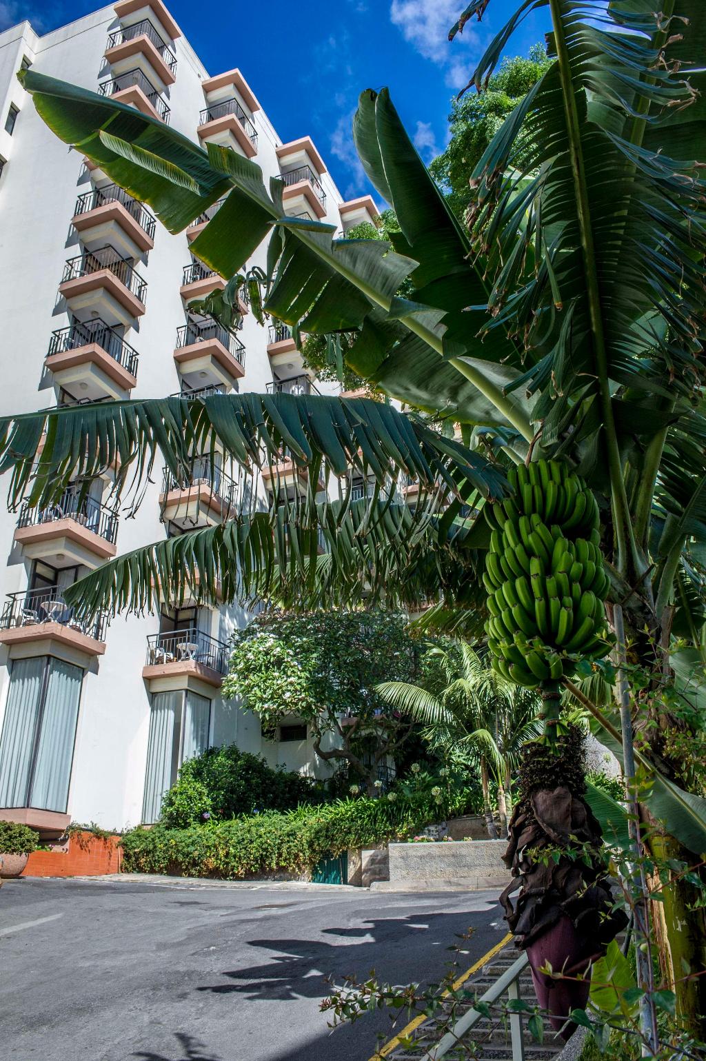 Hotel Mimosa Studio Hotel, Portugal, Funchal. Großes 59