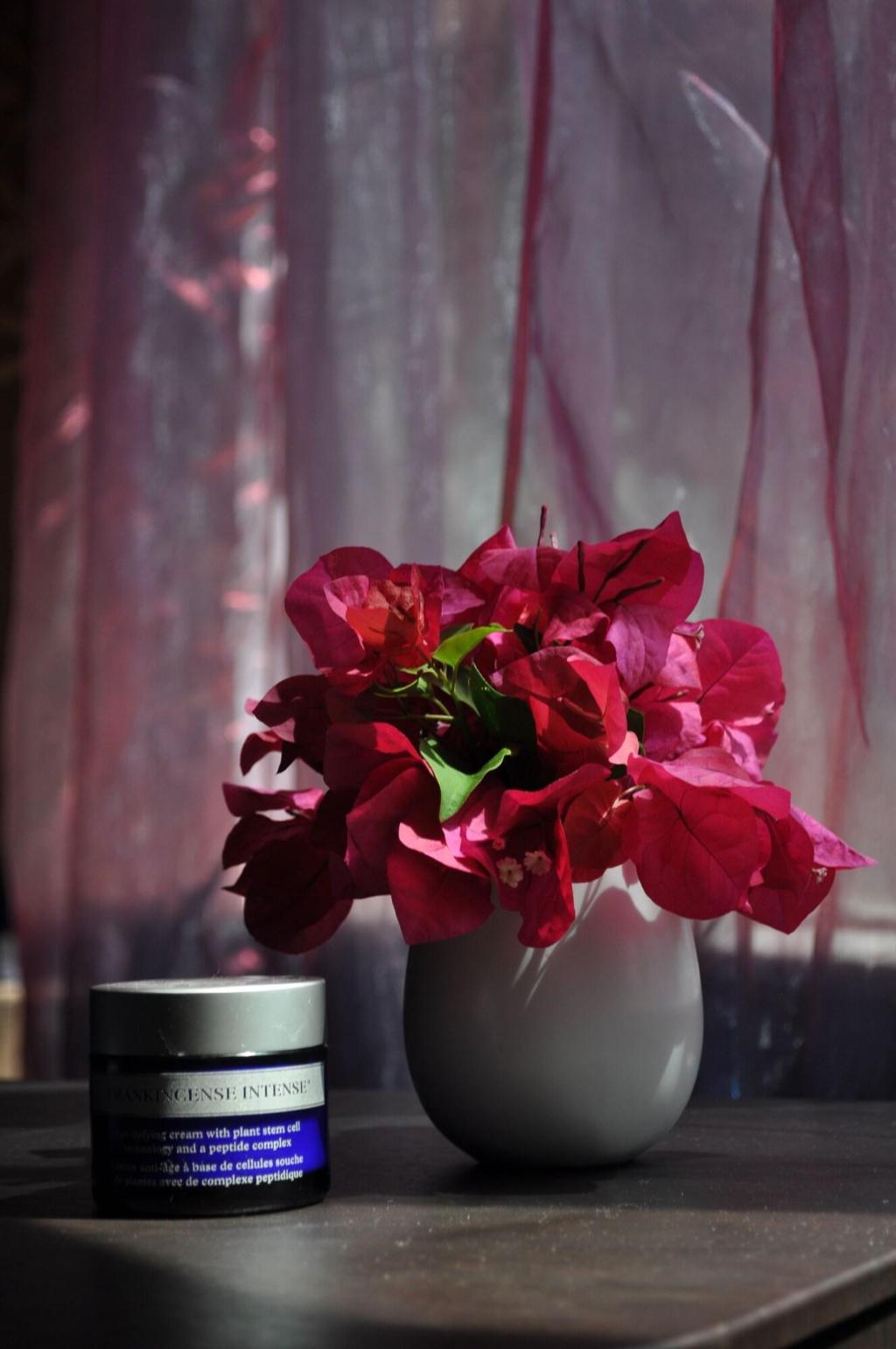 Imagem da galeria de Boutique Hotel Miranda