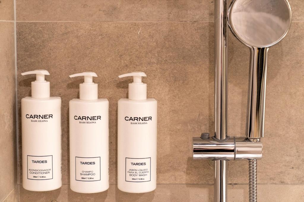 Hotel El Avenida Palace, Spanien, Barcelona. Großes 1