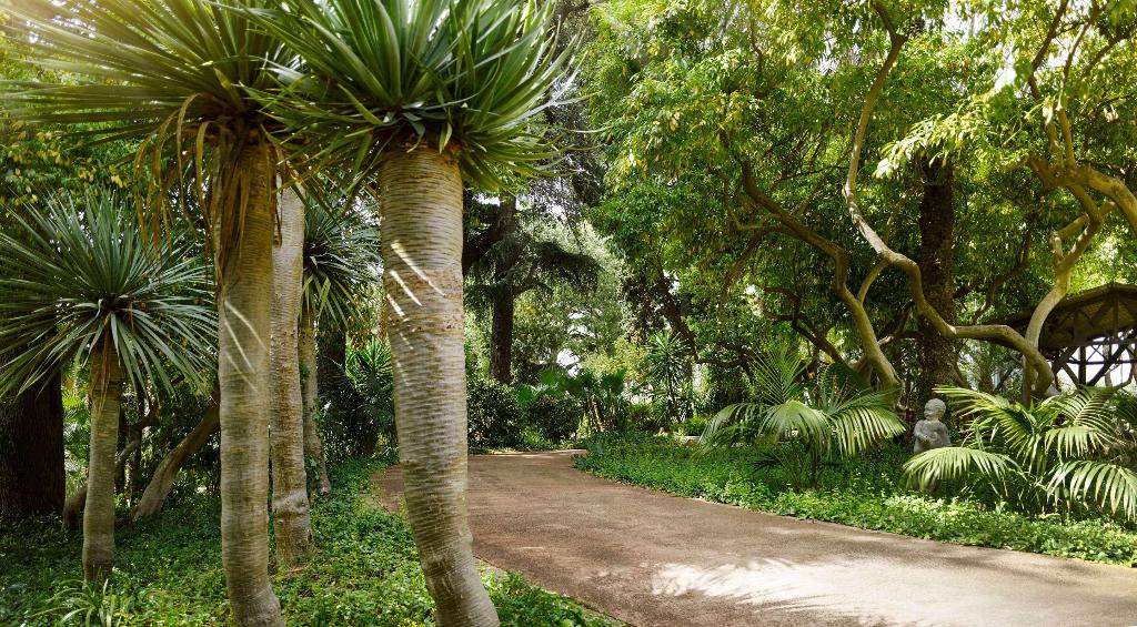 Imagem da galeria de Torre Melina Gran Melia