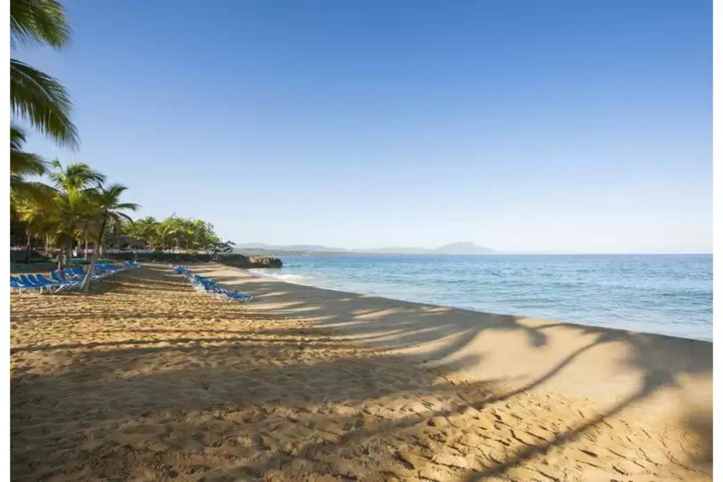 Casa Marina Beach & Reef photo 25