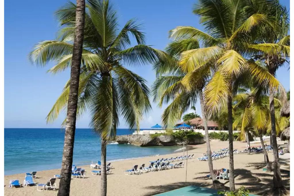 Casa Marina Beach & Reef photo 27