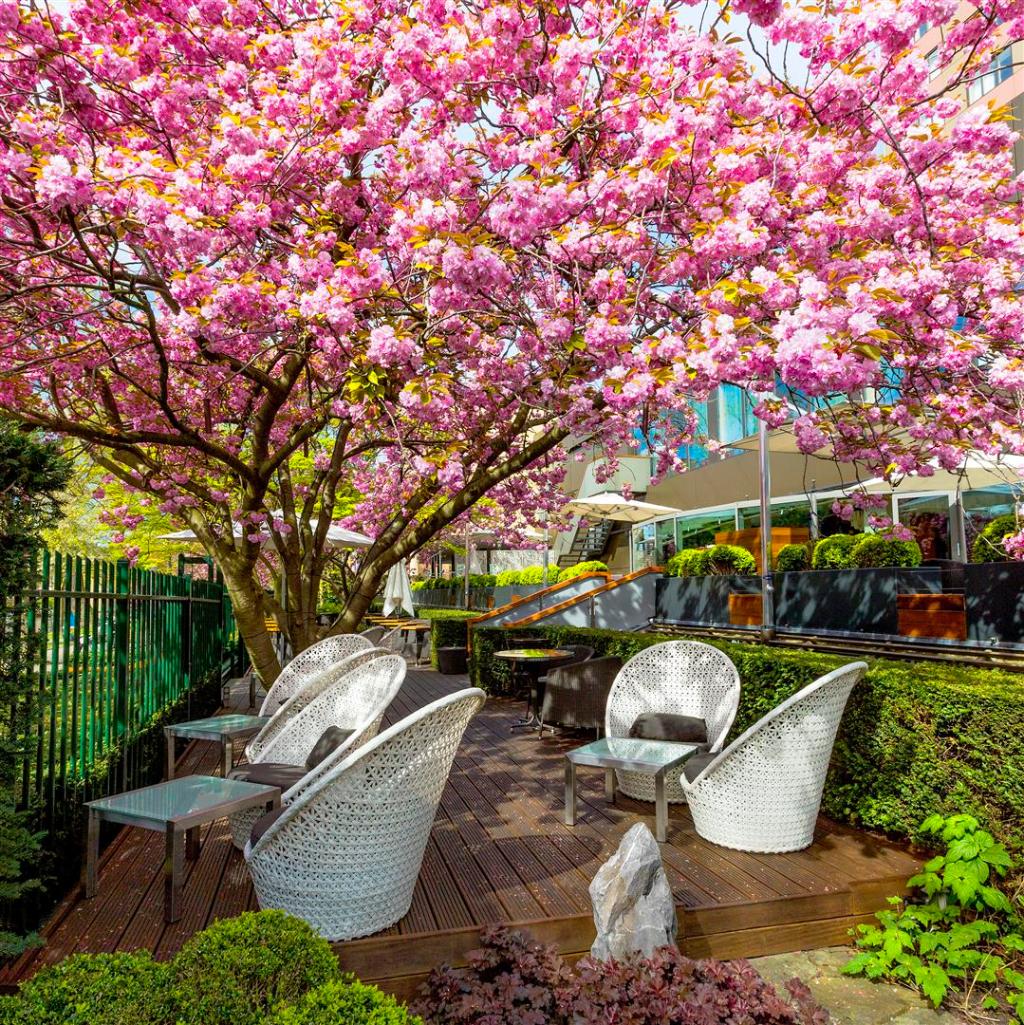 Imagem da galeria de Hotel Okura Amsterdam