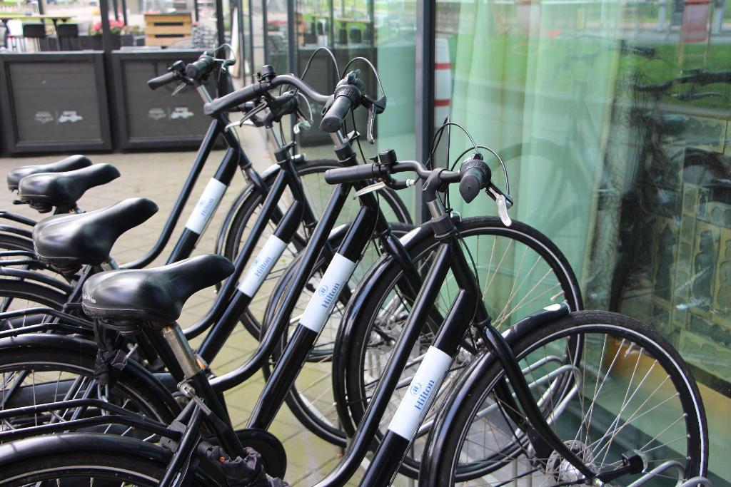 Галерея изображений Hilton Amsterdam Airport Schiphol