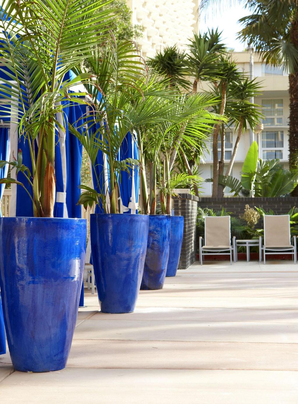 Four Points by Sheraton Los Angeles International Airport - Terrace