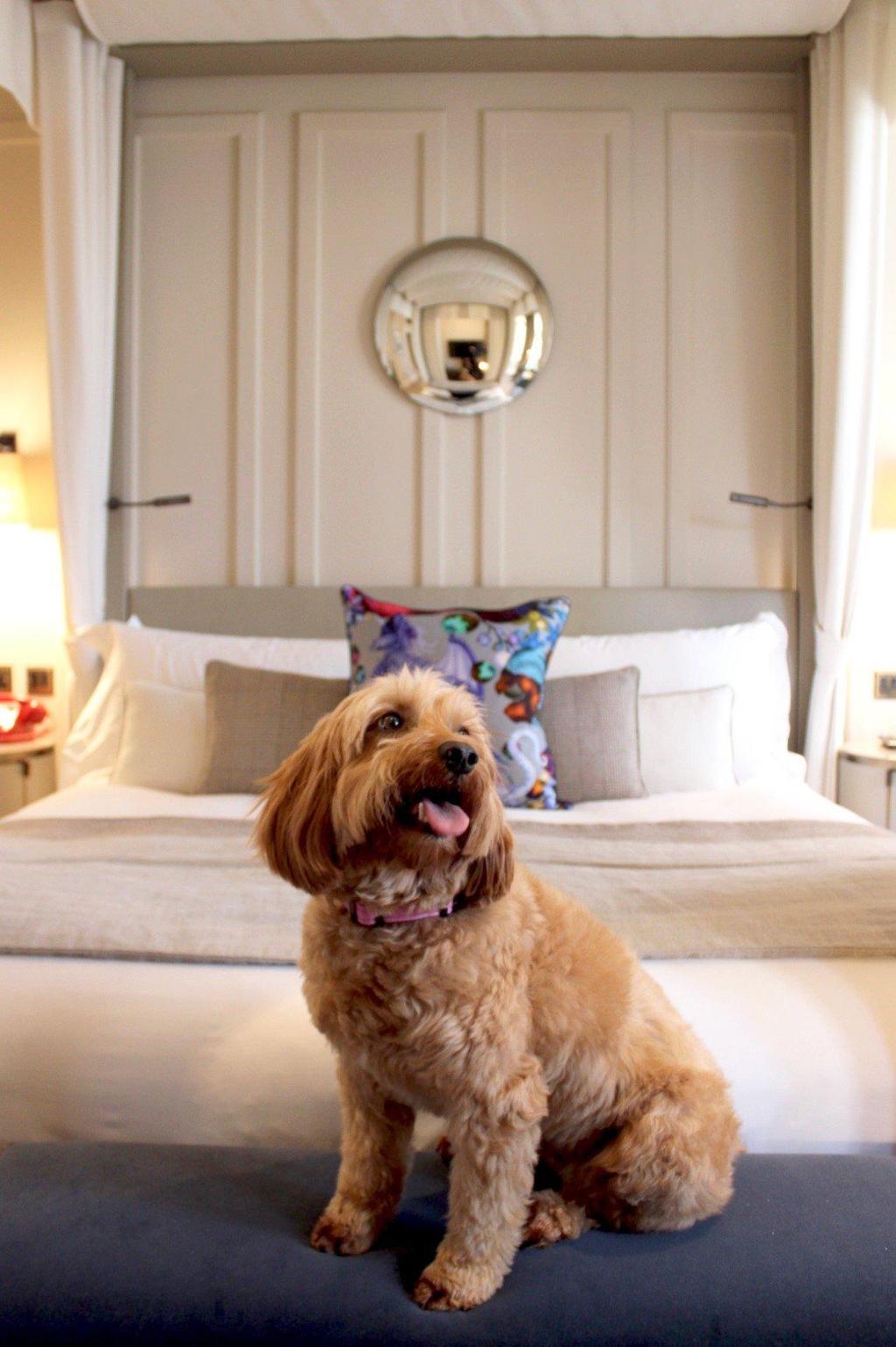 Imagem da galeria de Kimpton London Fitzroy