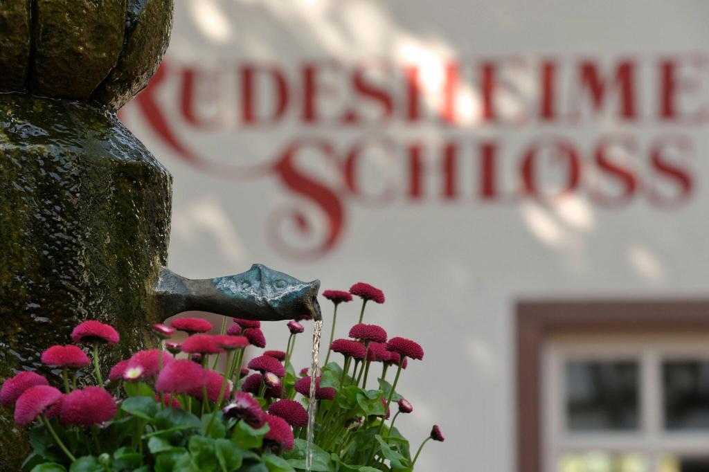 Rudesheimer Schloss