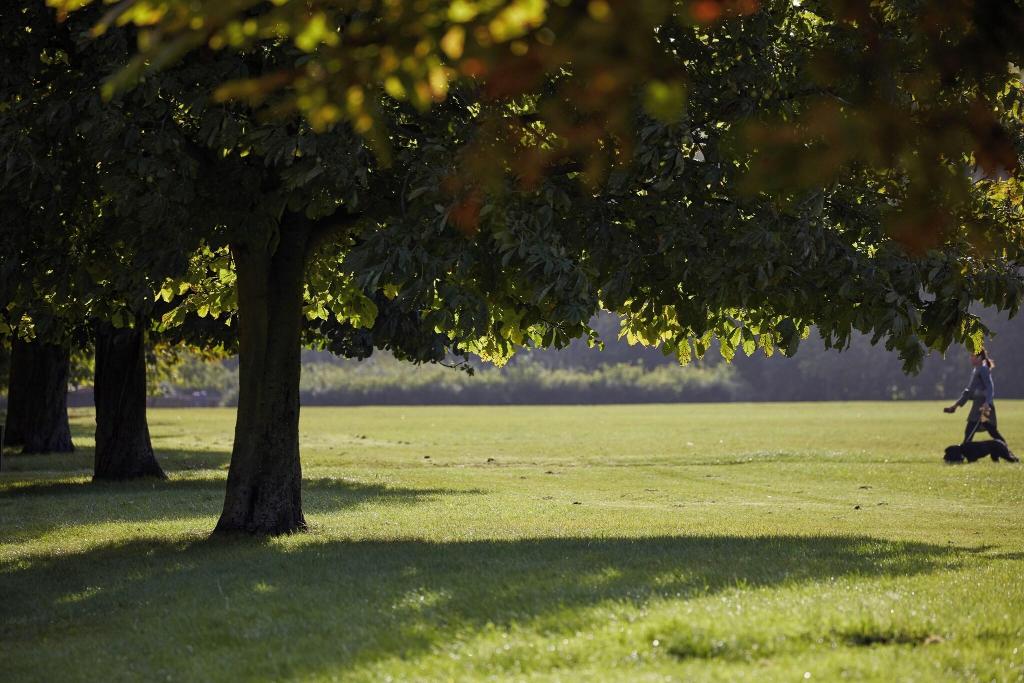 Gallery image of Mandarin Oriental Hyde Park London