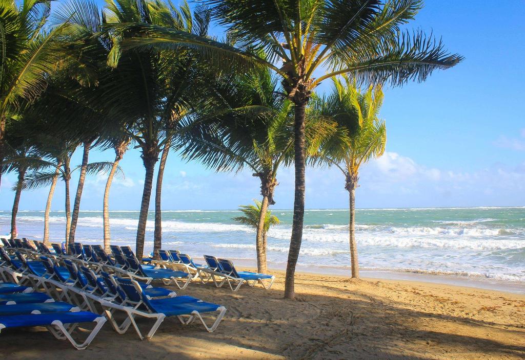 Viva Tangerine by Wyndham, A Trademark All Inclusive photo 21