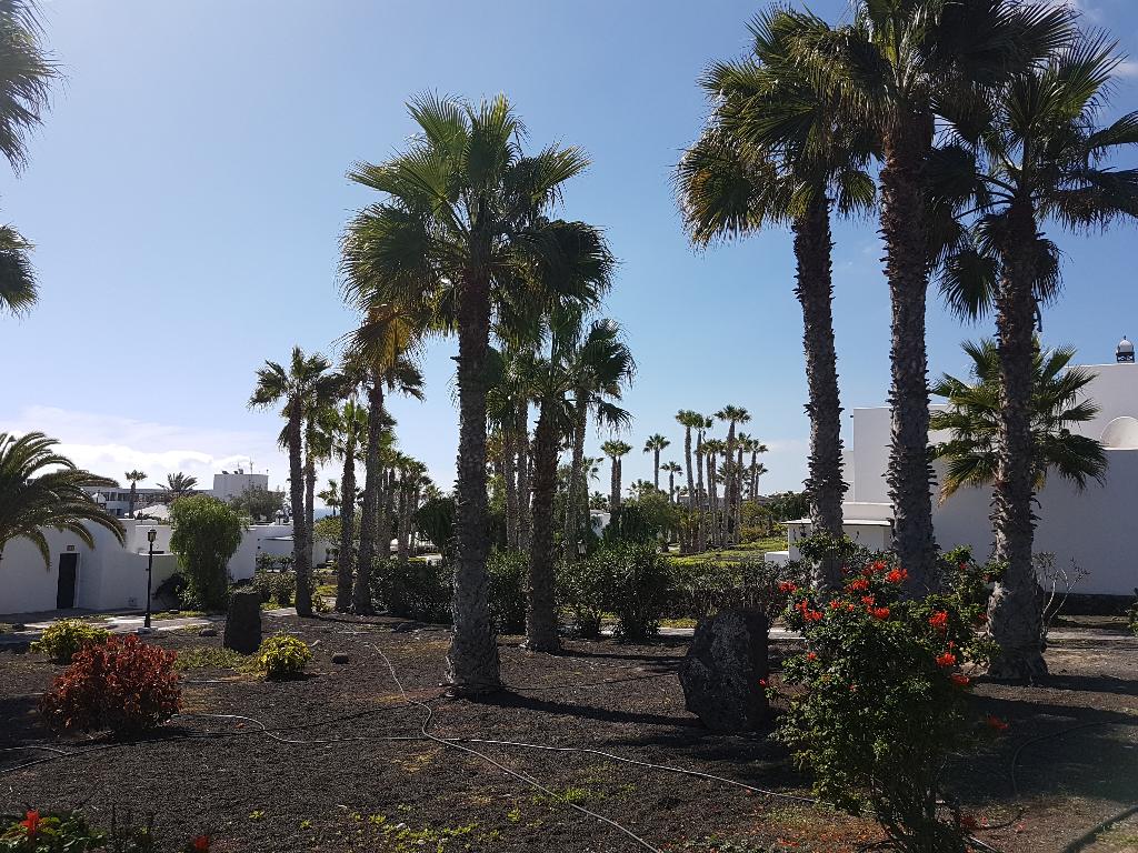 Hotel Palmeras Gardens, Spanien, Playa Blanca. Großes 1