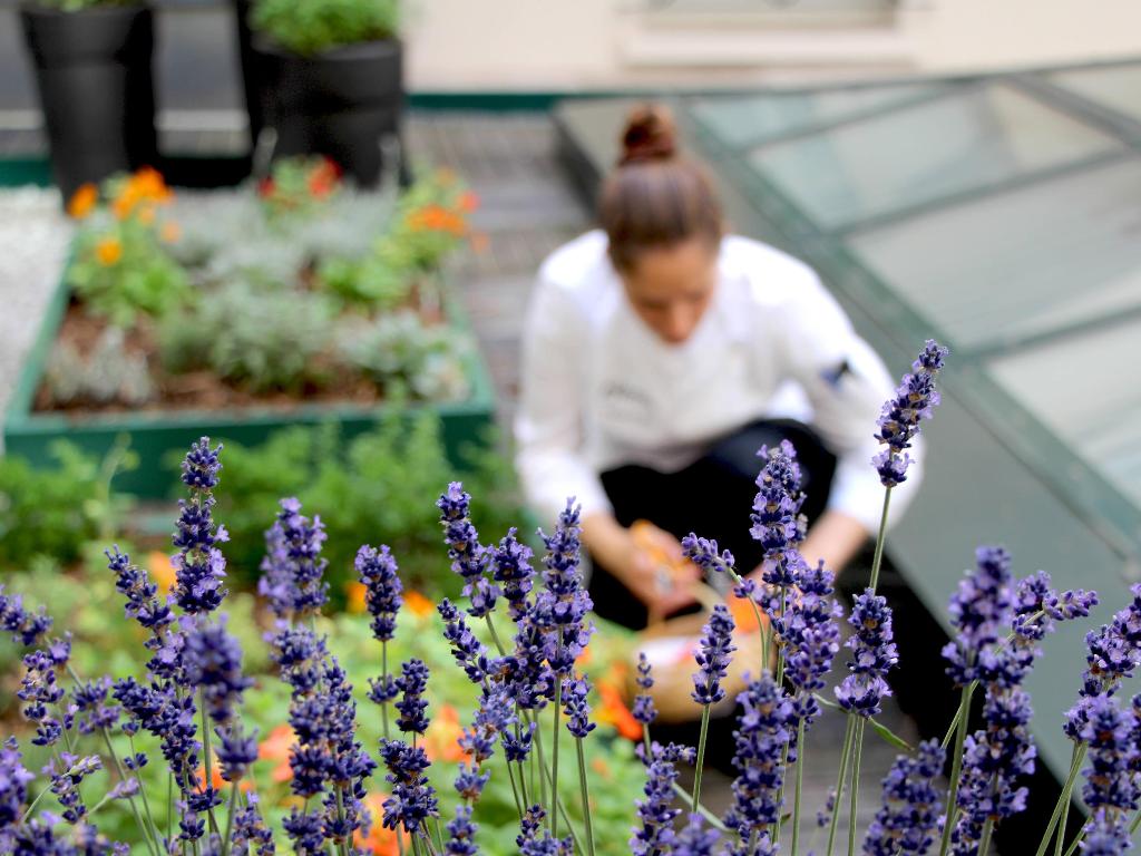 Imagem da galeria de Sofitel Paris Le Faubourg
