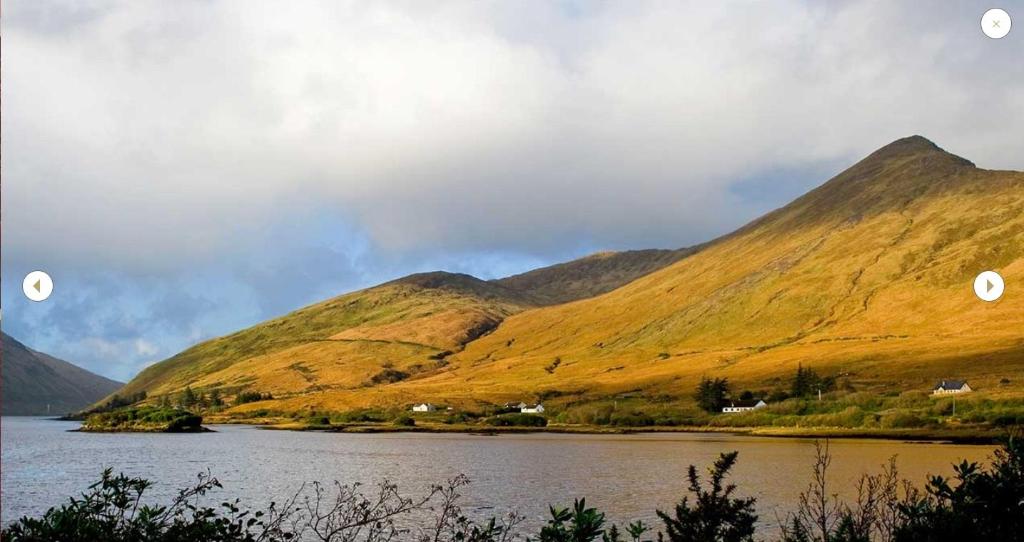 The Ardilaun