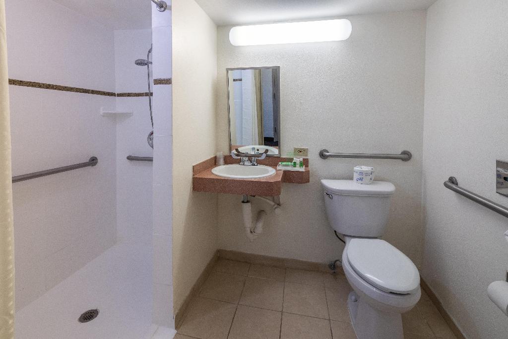 Holiday Inn Port of Miami-Downtown photo 22