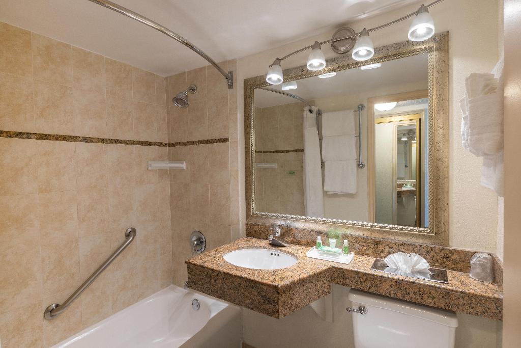 Holiday Inn Port of Miami-Downtown photo 34
