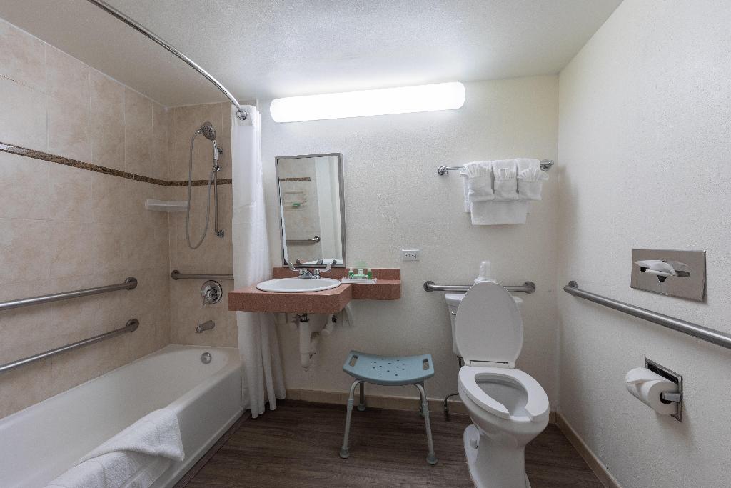Holiday Inn Port of Miami-Downtown photo 40
