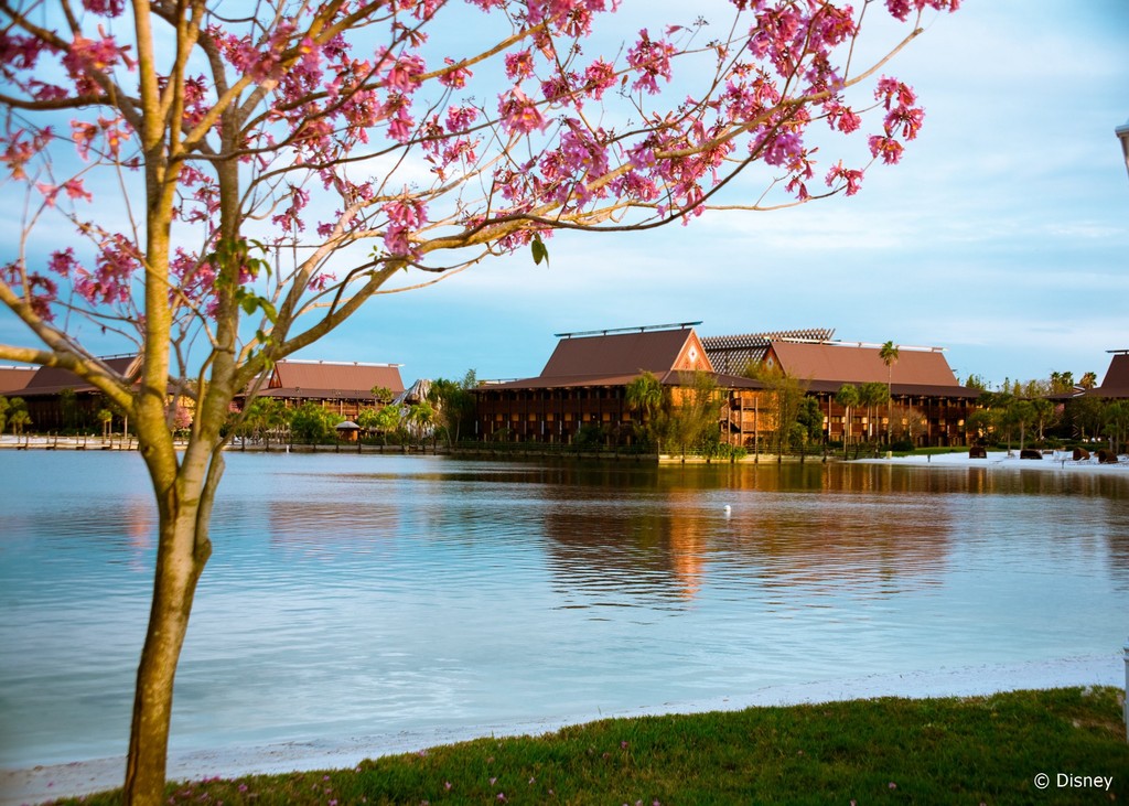 Disney's Polynesian Village Resort photo 17