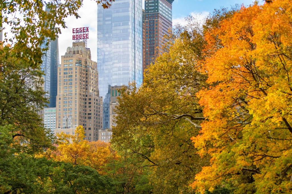 Imagem da galeria de Jw Marriott Essex House New York