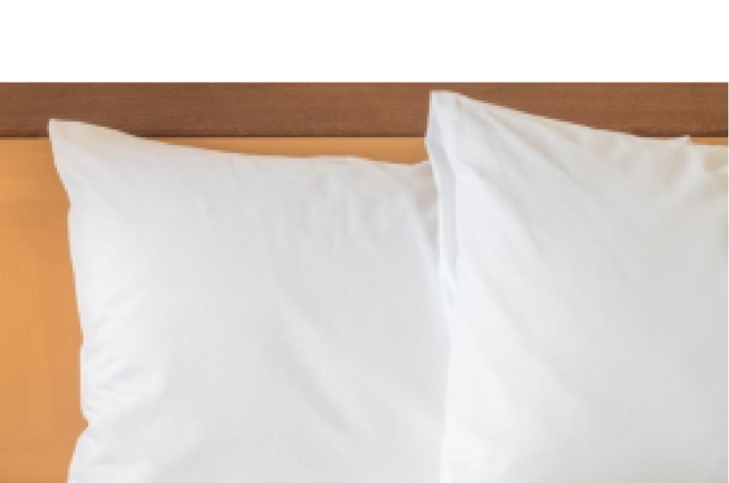 Crowne Plaza Resort Asheville