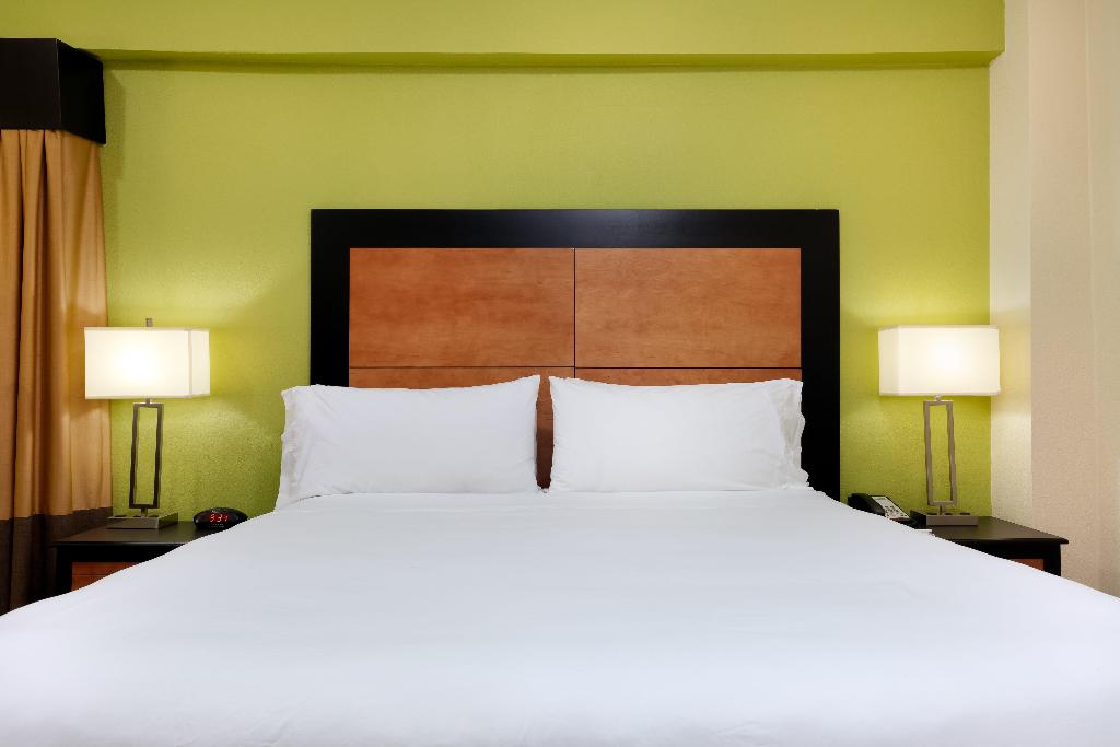 Holiday Inn Express & Suites Atlanta Downtown