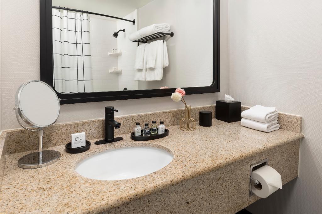 Holiday Inn Boston-Brookline photo 109