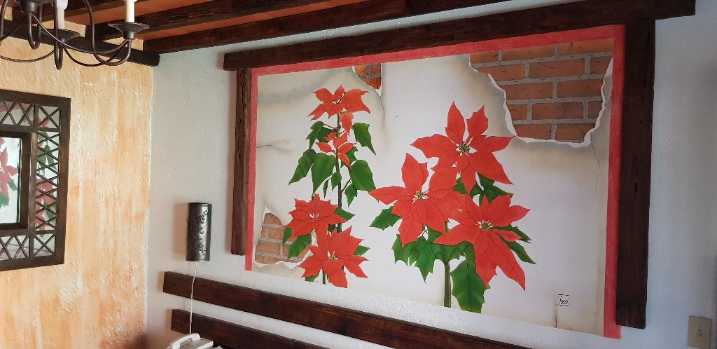 Posada de las Flores Loreto