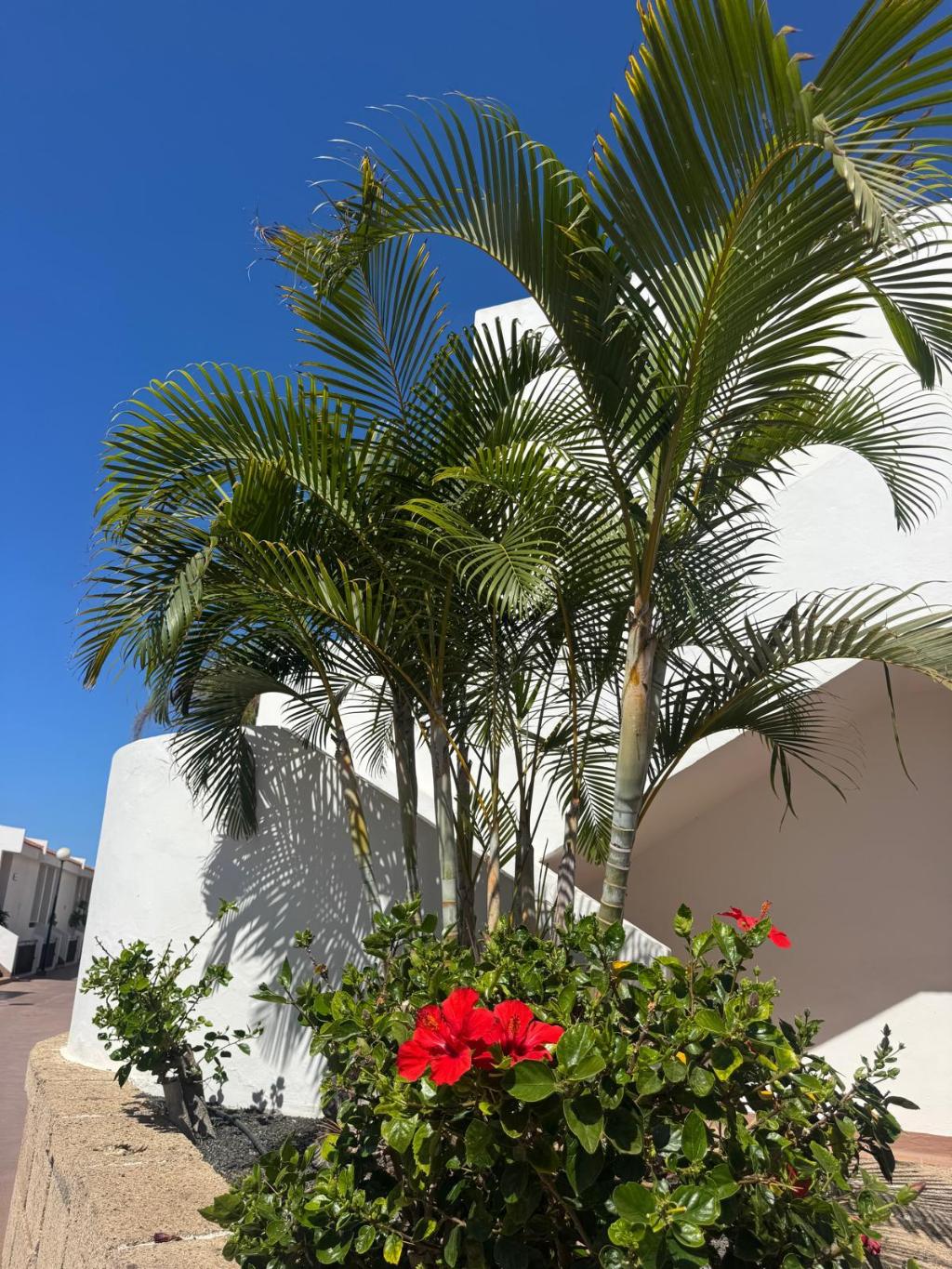 Hotel Malibu Park, Spanien, Costa Adeje. Großes 2