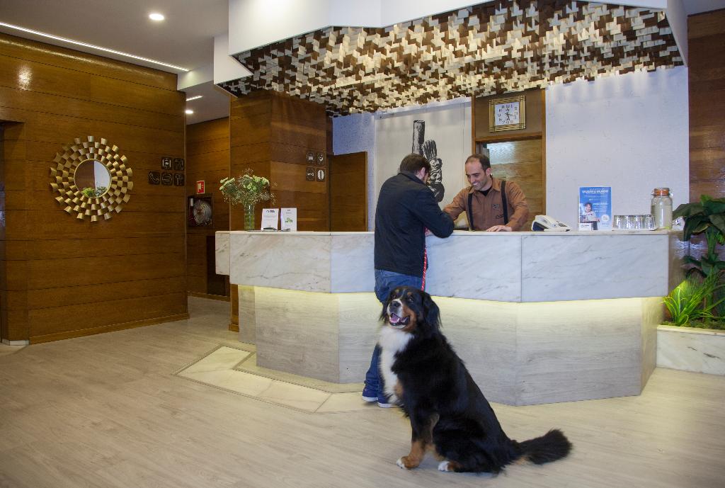 Imagem da galeria de Casual Inca Porto