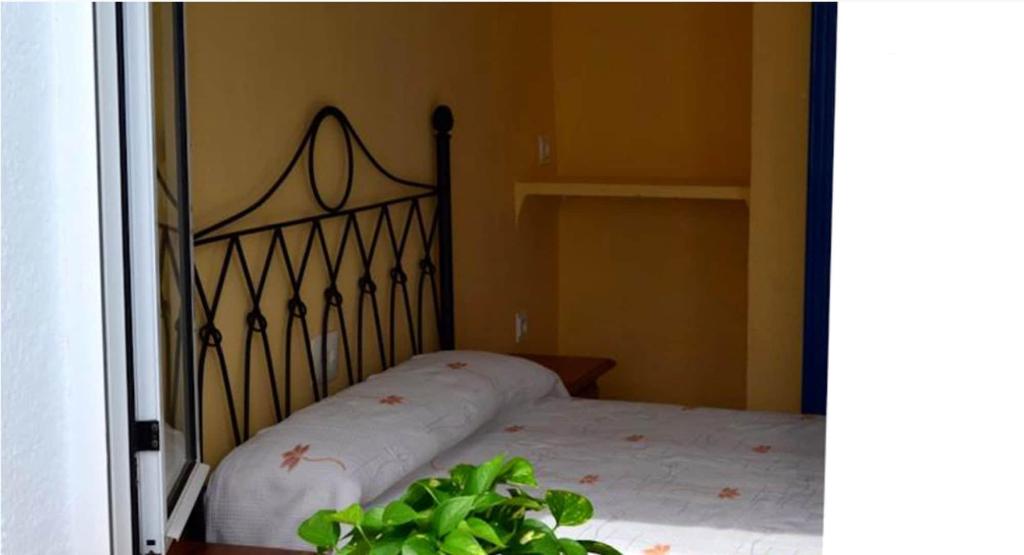 Residencial Flamenco 