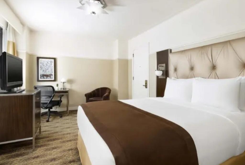 Metro Room 1 Queen Bed photo 1