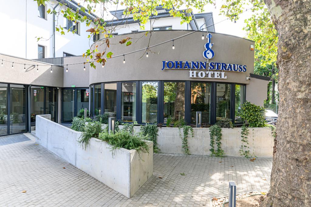 Johann Strauss