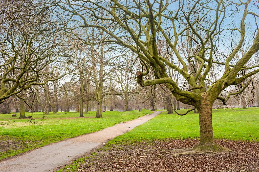 Apollo Ht London–Near Hyde Park & Paddington Stati - General view