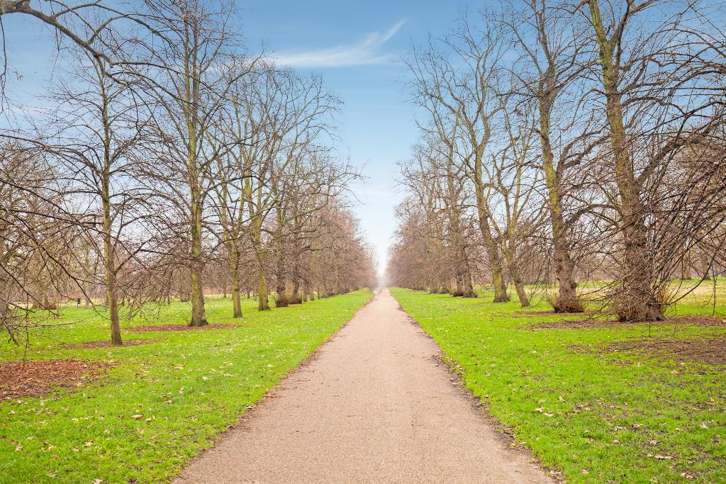Apollo Ht London–Near Hyde Park & Paddington Stati - General view