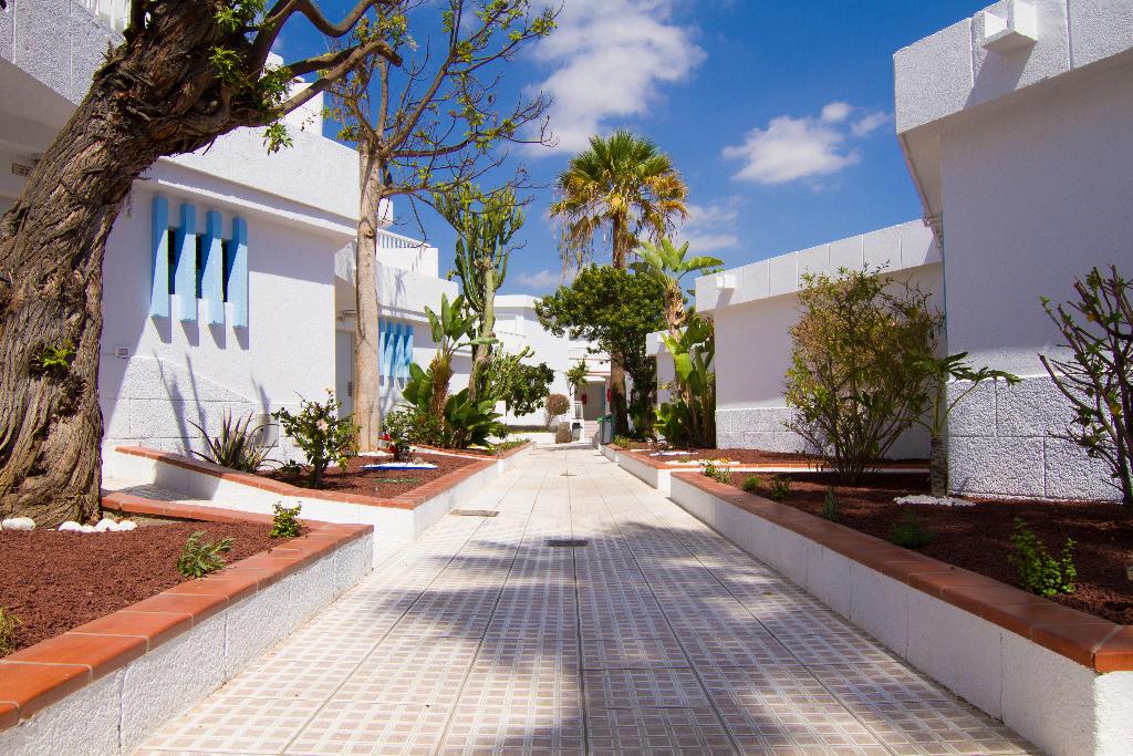 Hotel Checkin Bungalows Atlantida, Spanien, Arona. Großes 25
