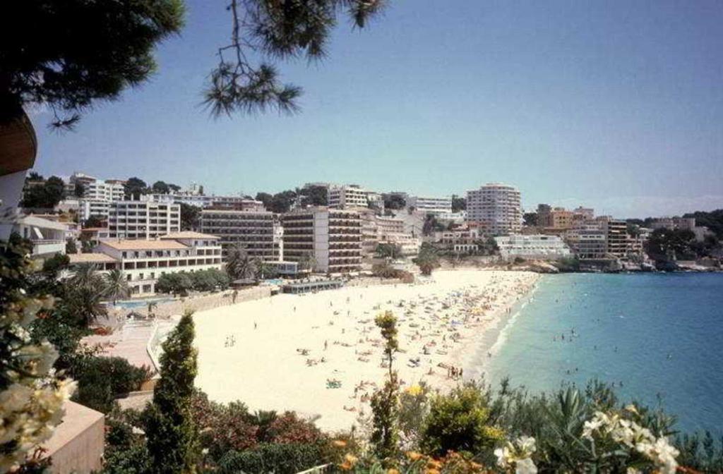 MLL Blue Bay photo 24