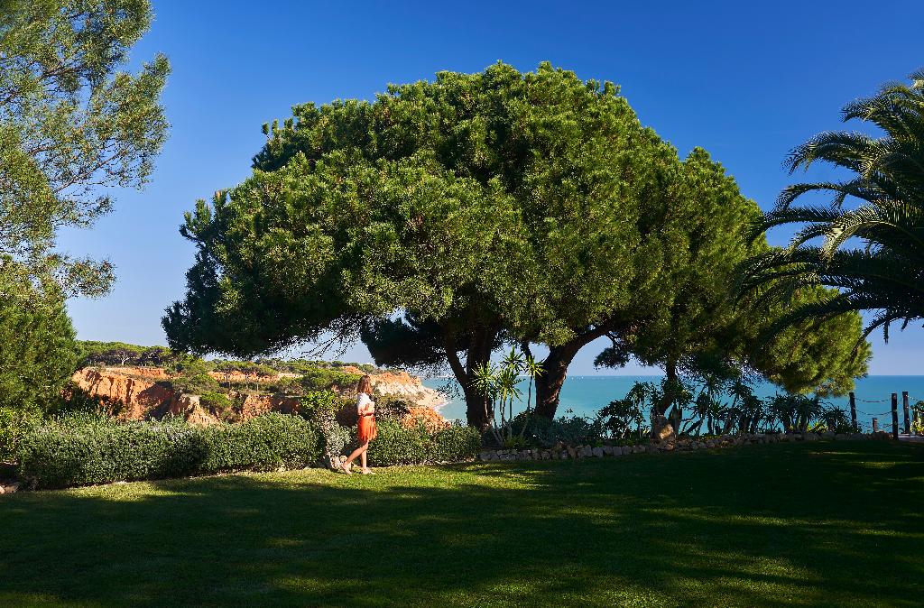 Imagem da galeria de Portobay Falesia