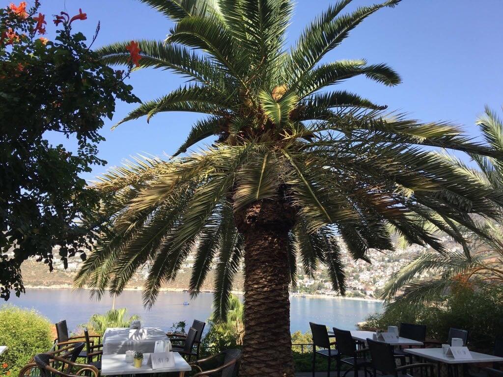 Patara Prince Hotel & Resort