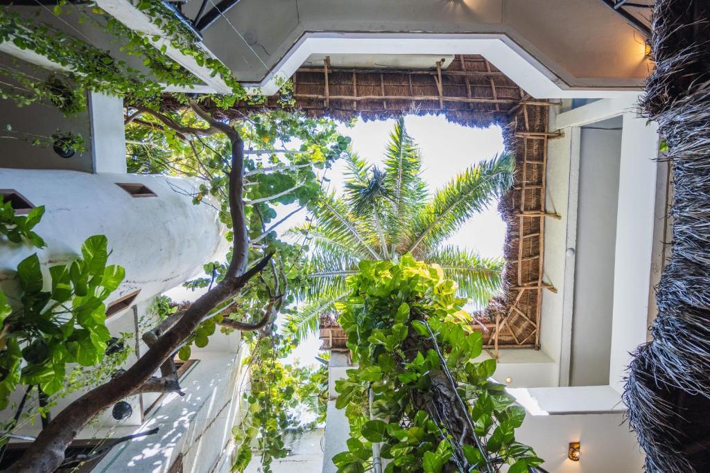 Hotel Posada Mariposa Boutique Hotel, Mexiko, Playa del Carmen. Großes 2