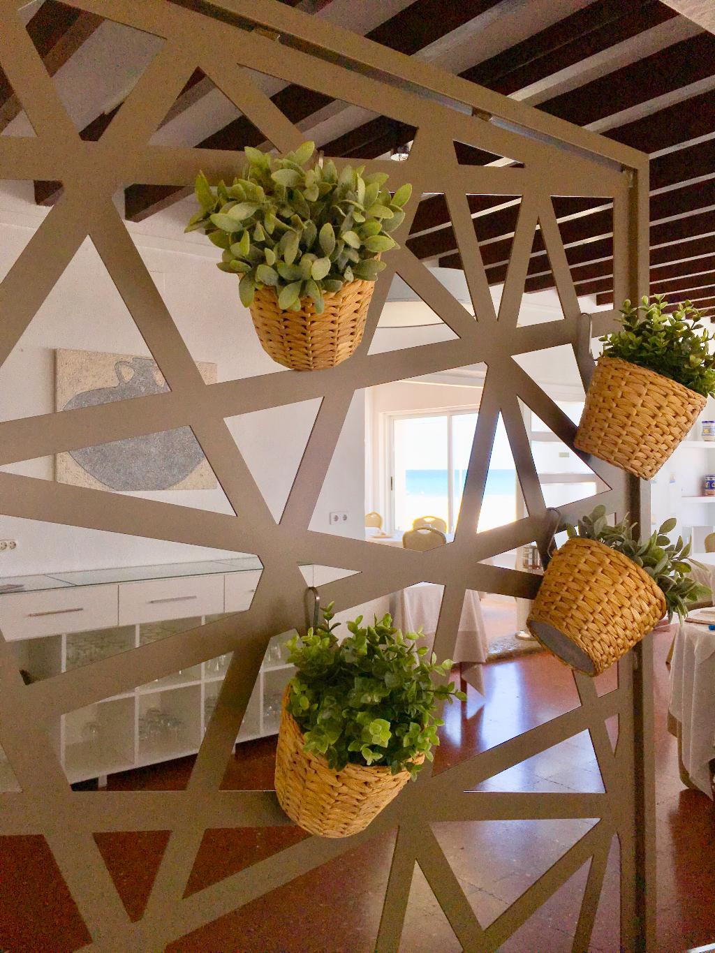 Hotel Hostal San Juan, Spanien, El Campello. Großes 41