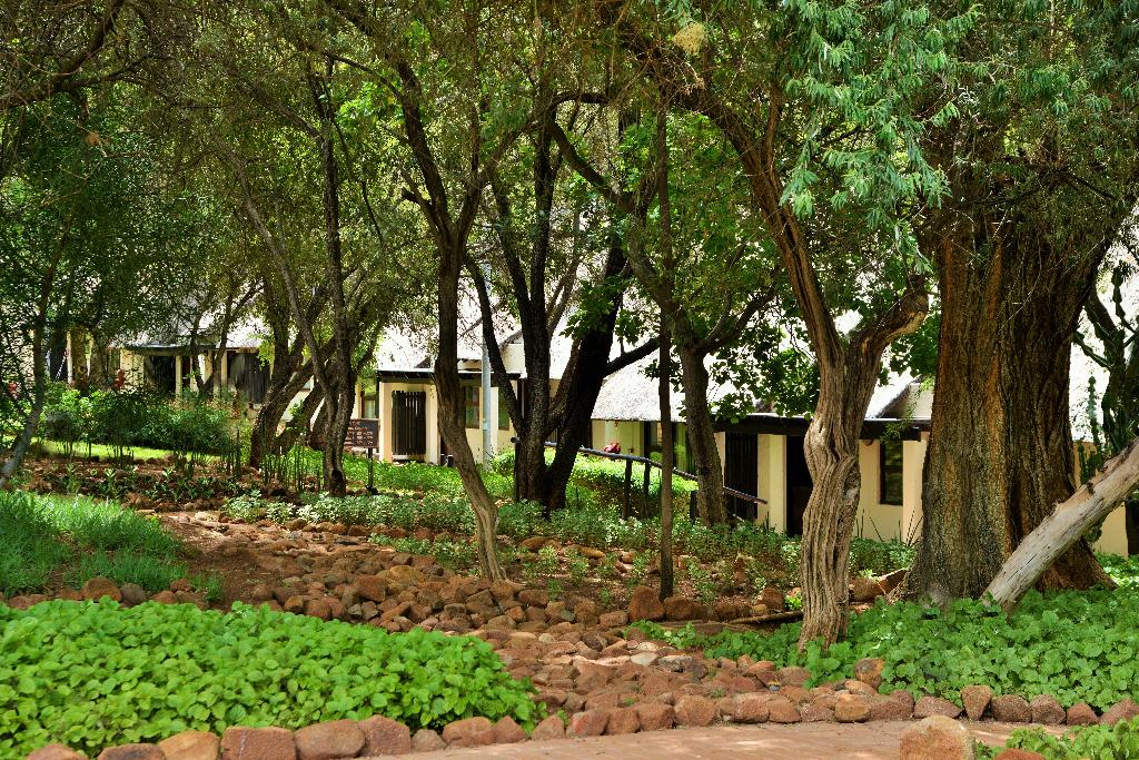 Kwa Maritane Bush Lodge