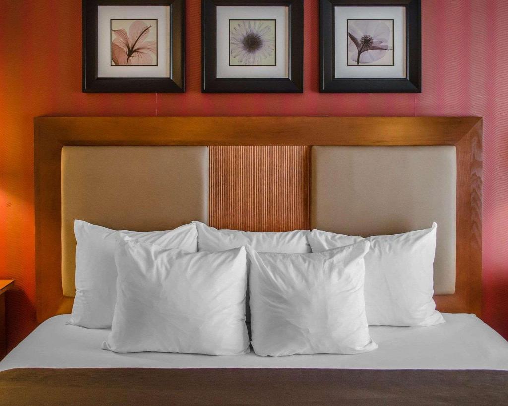 Hotel Hanna