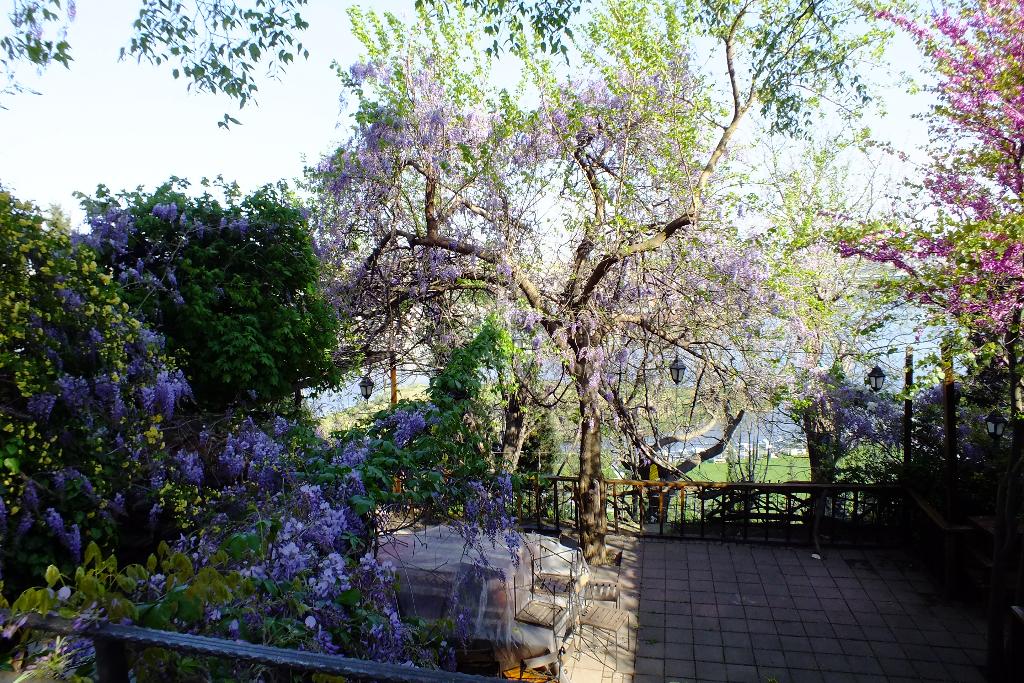 Hotel Turquhouse Boutique Hotel, Türkei, Istanbul. Großes 29