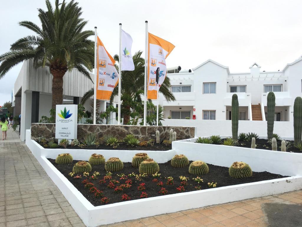Labranda Corralejo Village photo 110