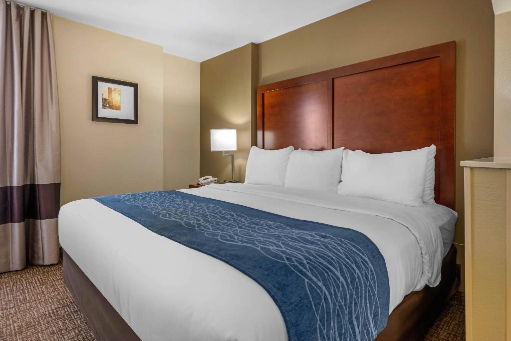 Comfort Inn Ocala Silver Springs