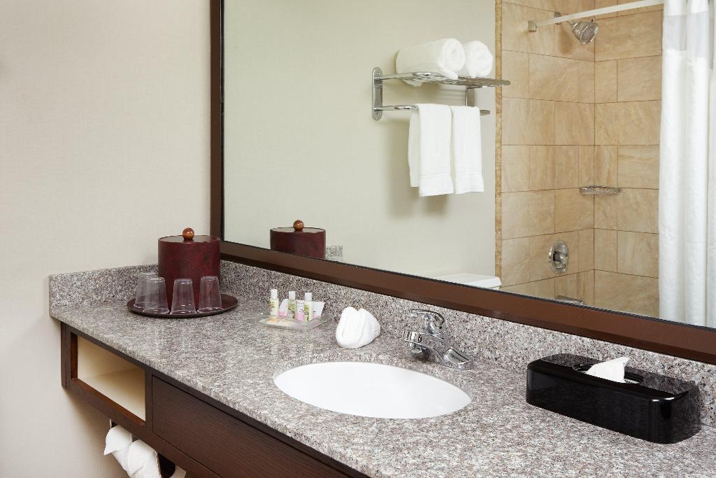 Delta Hotels by Marriott Chicago Matteson