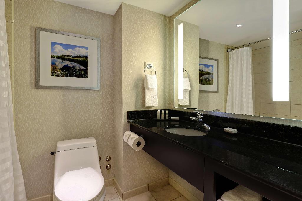 Embassy Suites by Hilton Niagara Falls Fallsview photo 39