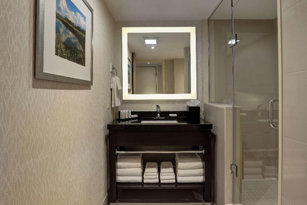 Embassy Suites by Hilton Niagara Falls Fallsview photo 132