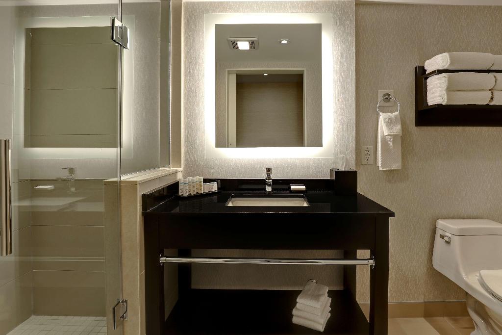 Embassy Suites by Hilton Niagara Falls Fallsview photo 36