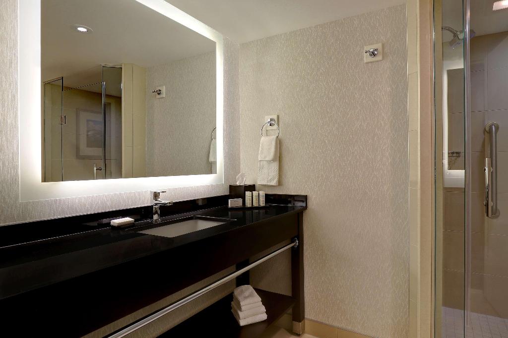 Embassy Suites by Hilton Niagara Falls Fallsview photo 110