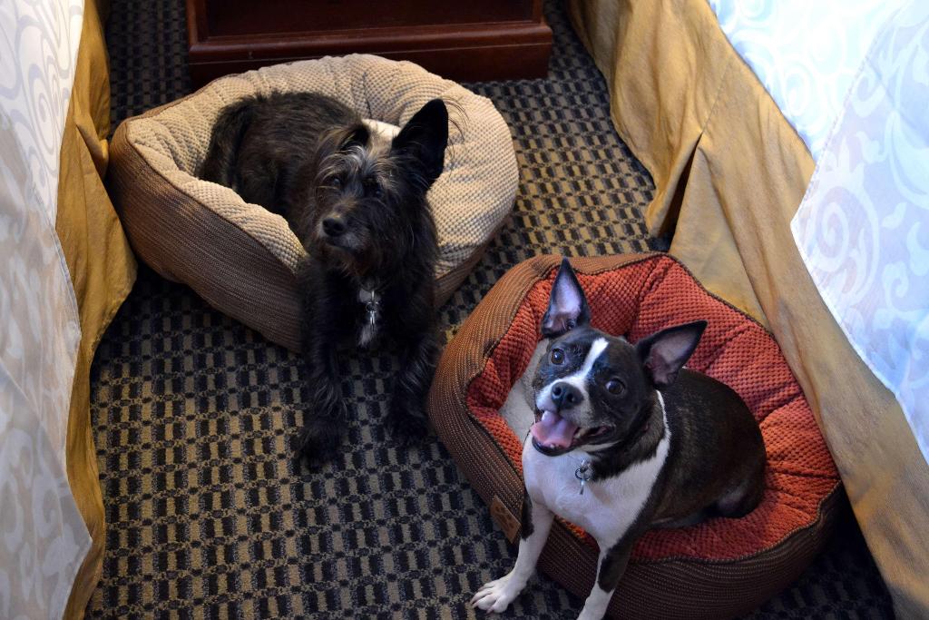 Best Western Premier Chateau Granville Hotel