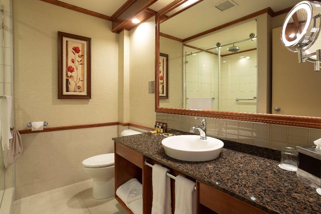 Best Western Plus City Centre/Centre-Ville photo 118